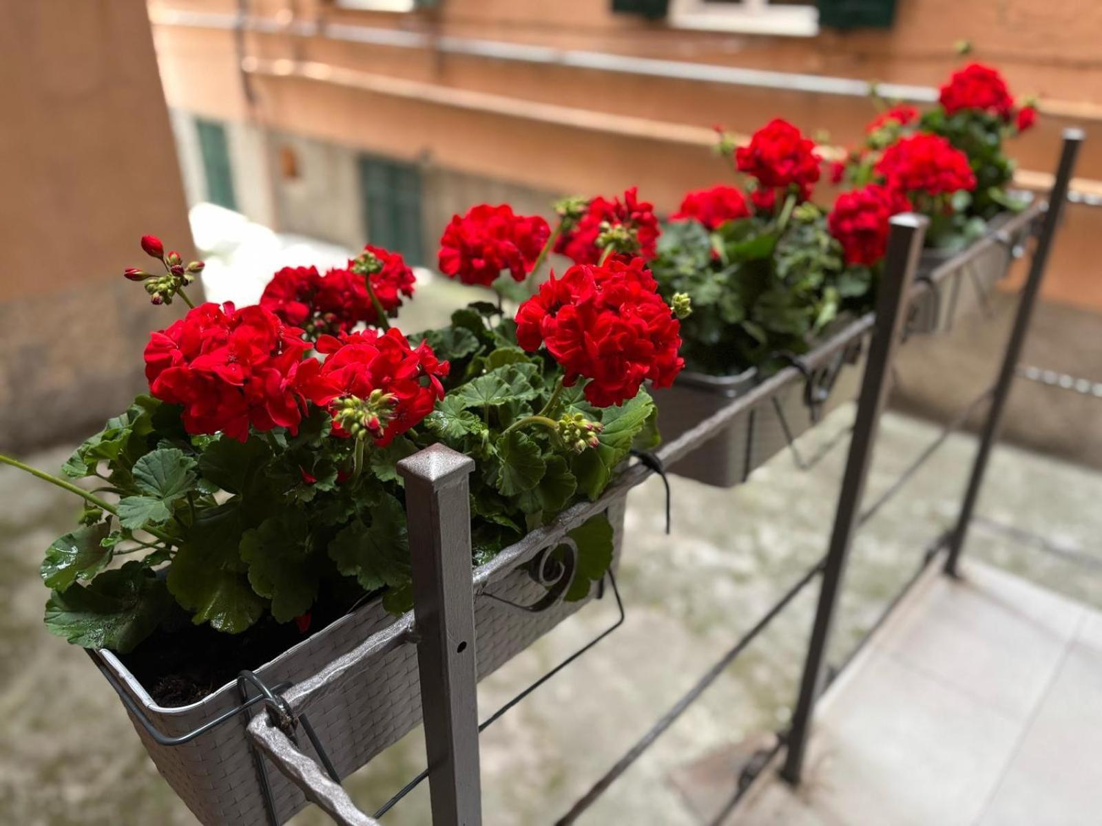 A San Martino, Appartamento